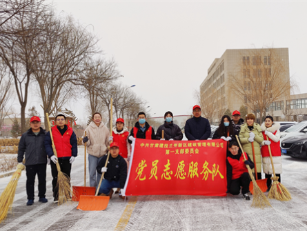 新區(qū)公司第一黨支部開展學雷鋒志愿服務(wù)活動